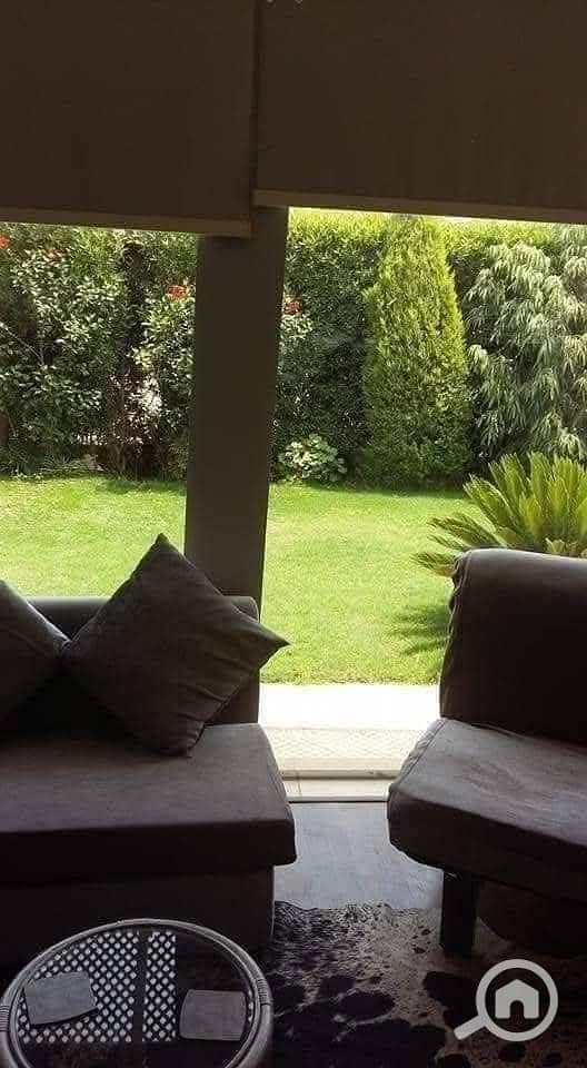 4 FB_IMG_1745370789083. jpg