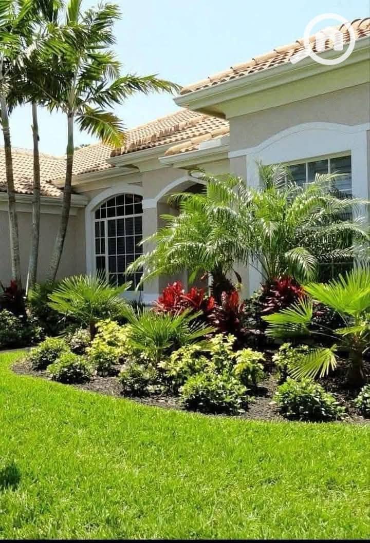 11 FB_IMG_1744642868298. jpg