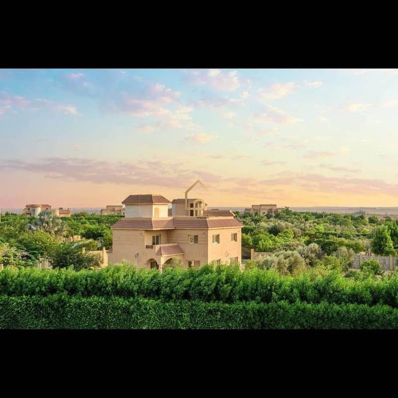 5 576372070_4373949739539112_4604186865187007176_n. jpg