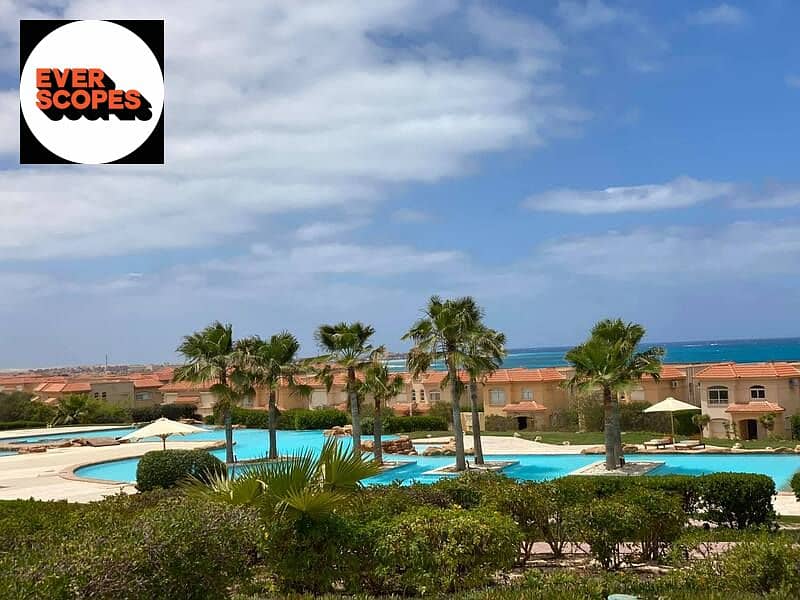 16 241089854_2003933166424774_7257974297454524973_n. jpg