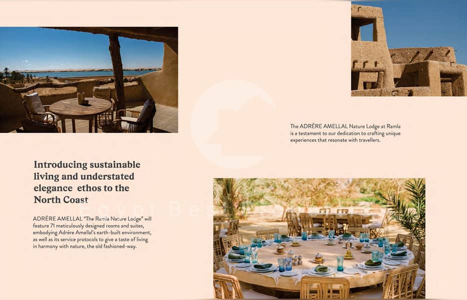 8 Screenshot 2025-12-11 124547. png