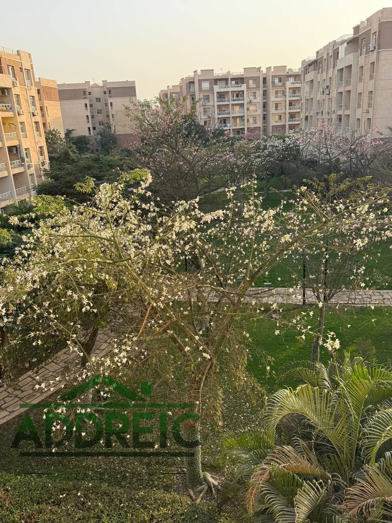 7 IMG-20251210-WA0149. jpg