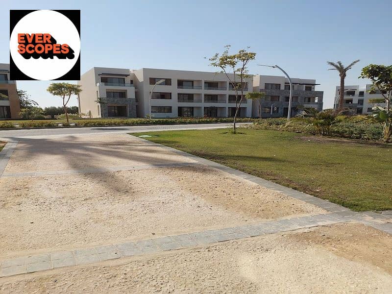 17 2023-07-03 (1). jpg