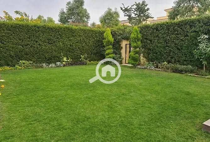 6 FB_IMG_1746233470075. jpg