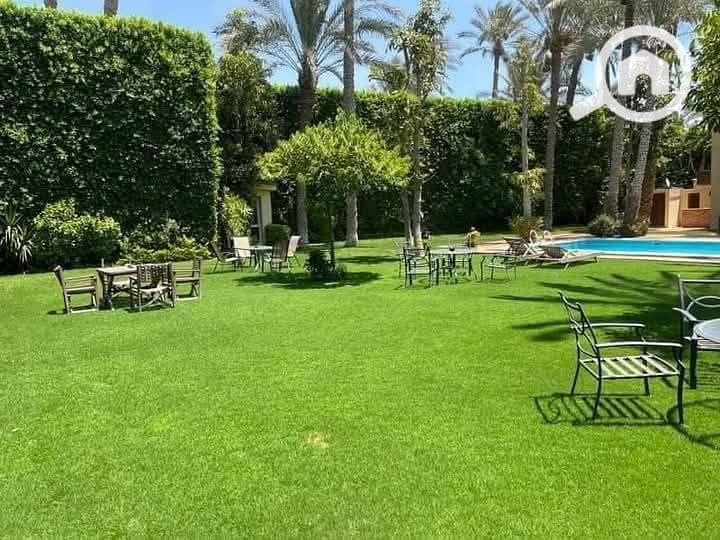 7 FB_IMG_1745177728830. jpg