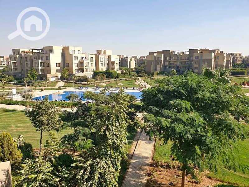 10 591825088_25164523656543822_9016428029479670751_n. jpg