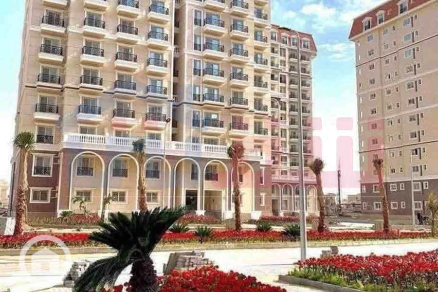 12 IMG-20250825-WA0025. jpg