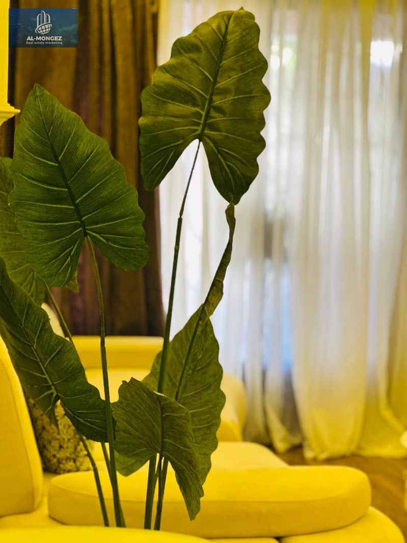 12 IMG-20251126-WA0006. jpg