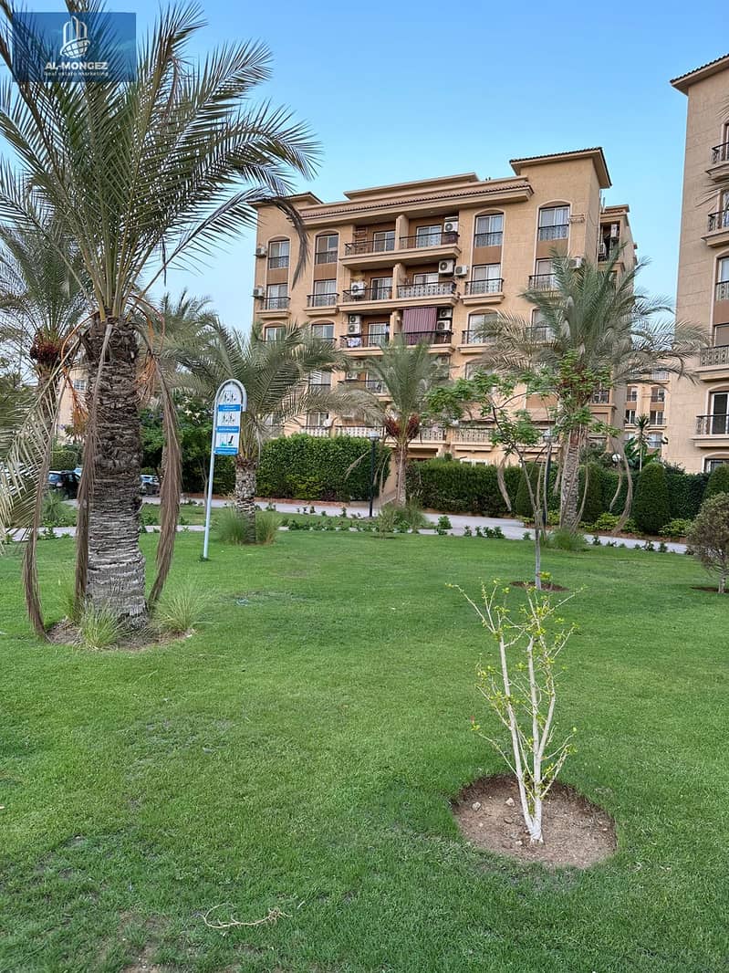 17 17b95c05-d1a8-481a-90a9-7e7104973811. jpg