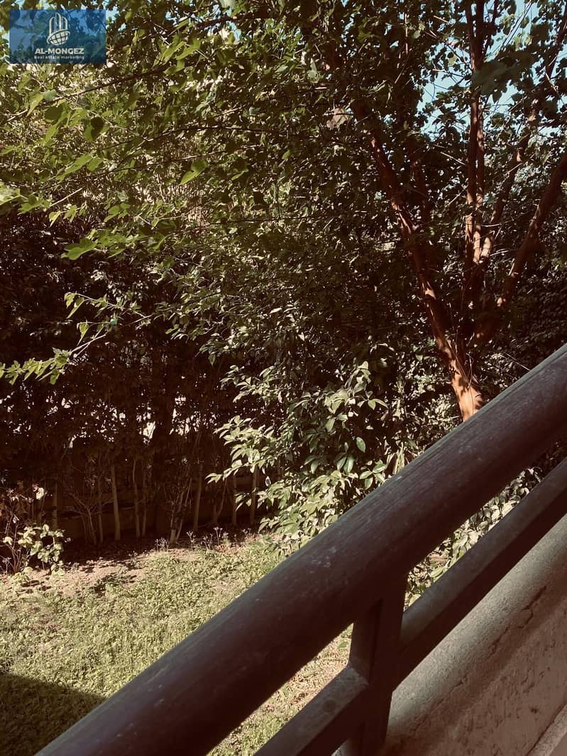 12 5e66fb27-5ab5-407f-9f8c-1175e0e7f4a8. jpg