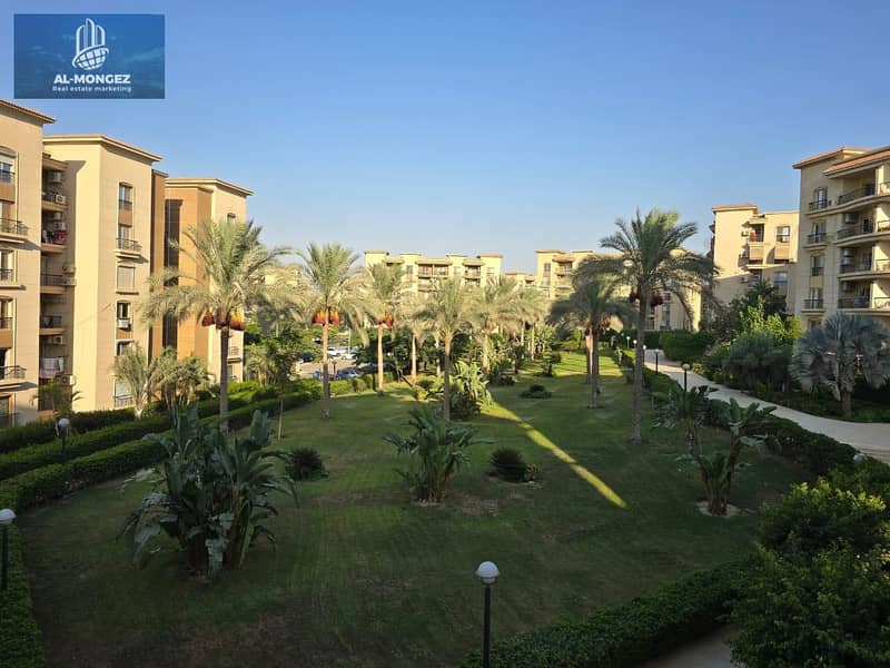 15 5e5d582a-9e24-48b5-a46a-066da9d9341a. jpg