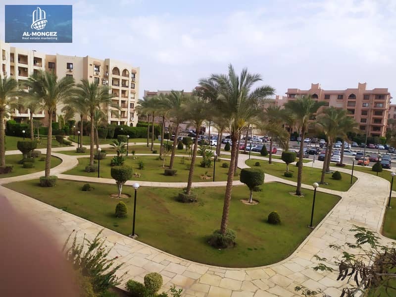 15 ccaf0806-691d-42a0-9149-c5e7c3edec5b. jpg