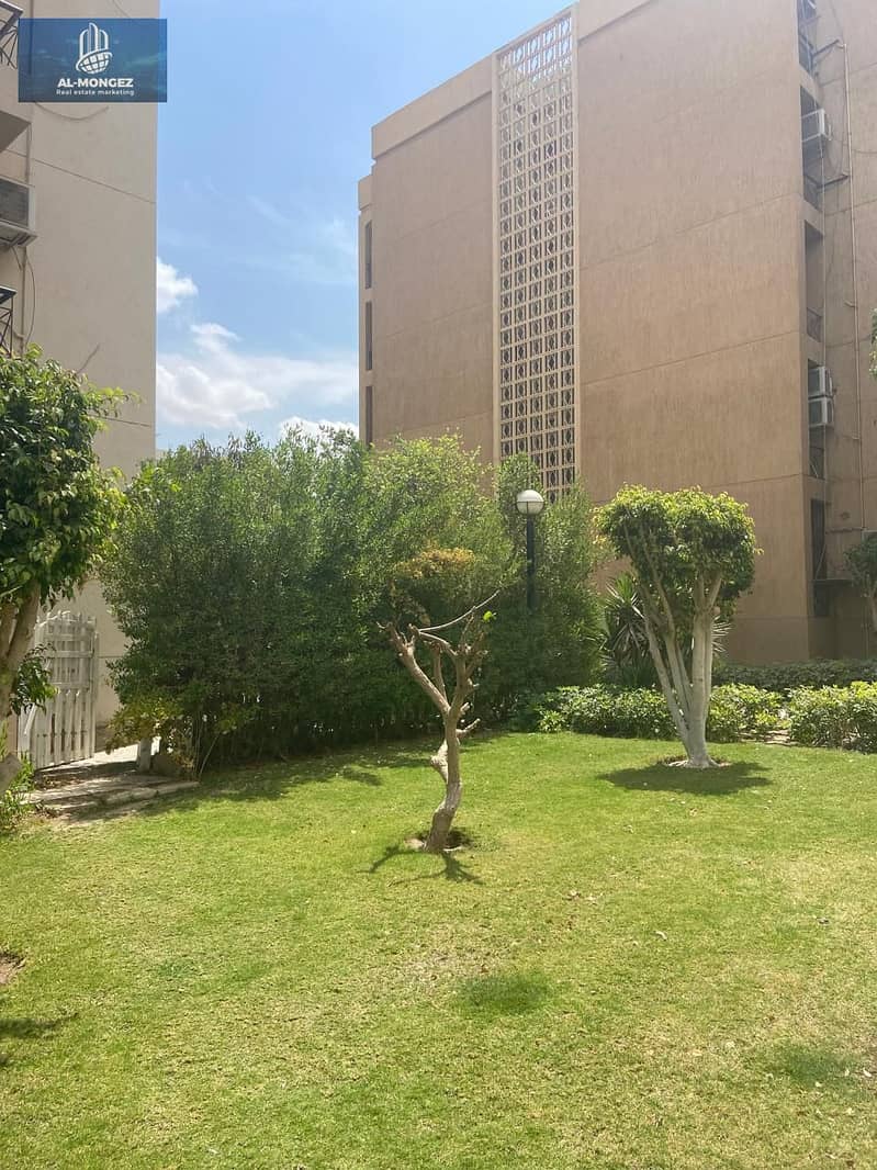 19 564bd306-e27a-4109-b203-350748b0ca31. jpg