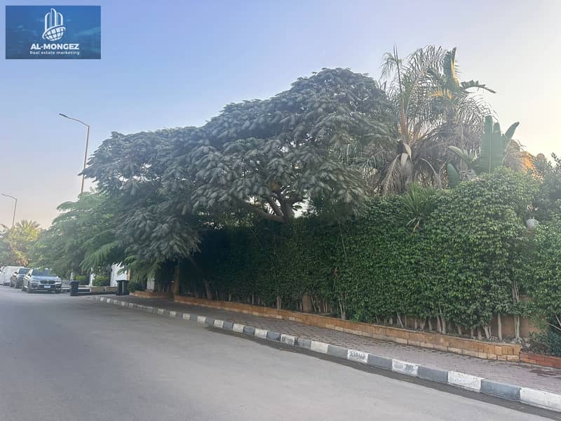 15 4911a7ec-f3ff-476e-91c6-bf6c02de84ab. jpg