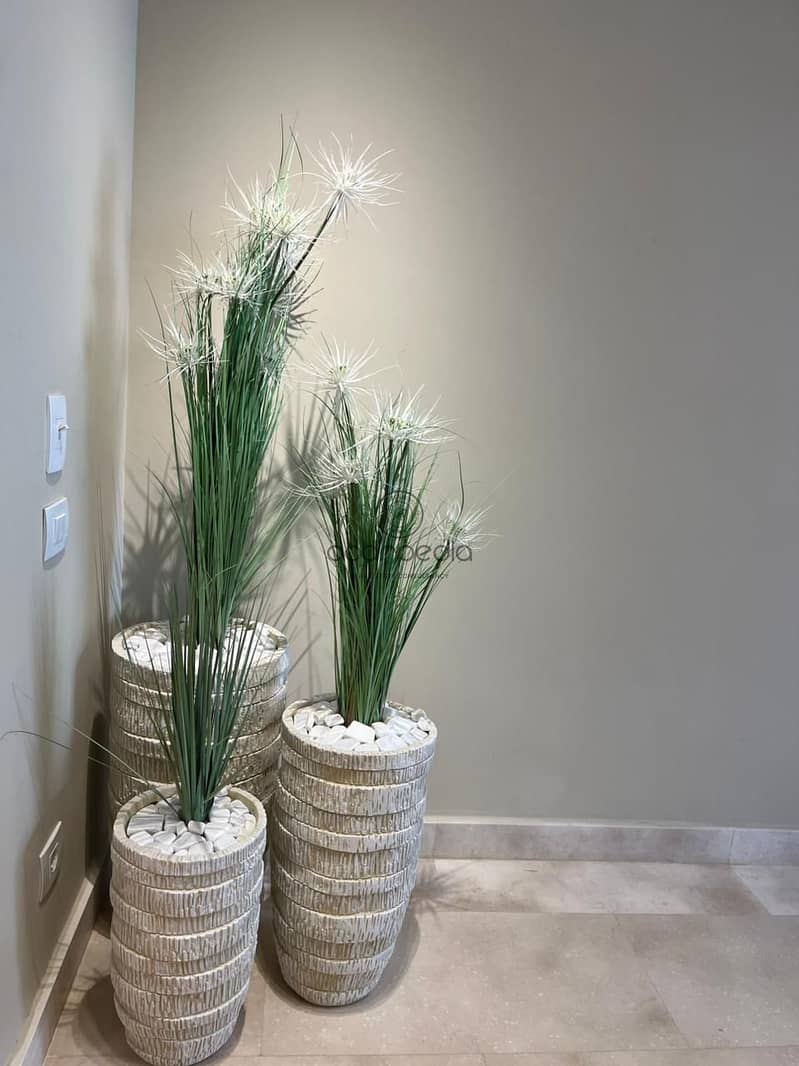 18 WhatsApp Image 2025-12-11 at 11.40. 07 AM (2). jpeg