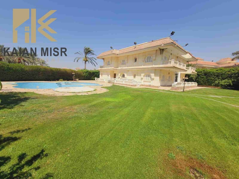 1000006294. jpg 1000006294. jpg