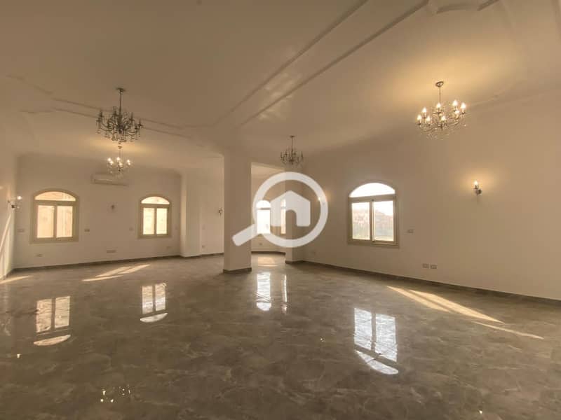 6 1b04bf32-728a-4b06-82ce-b12e256e68df. jpeg