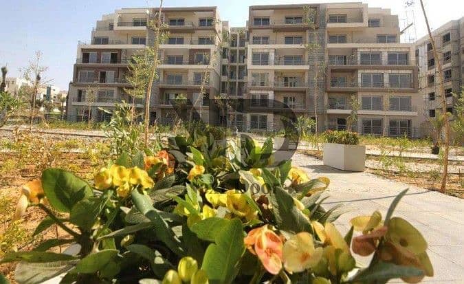 6 577840341_25314661691504275_5559556947108745422_n. jpg