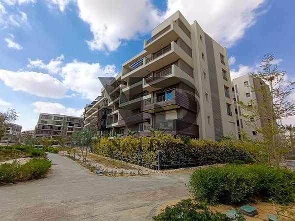 8 586623773_733983959732784_6212113189613912488_n. jpg