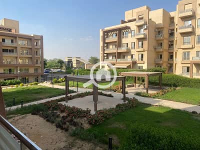 3 Bedroom Flat for Rent in Shorouk City, Cairo - WhatsApp Image 2025-07-05 at 14.34. 02_b8a9bf7a. jpg