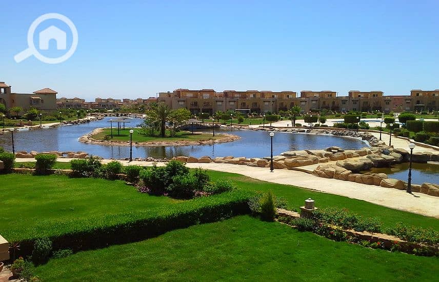 5 1282416-0557do. jpg