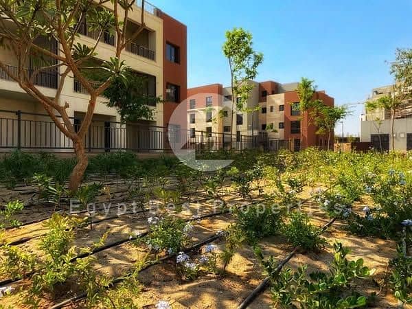 2 516739320_10171765518365029_4356380112089097611_n. jpg