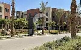 7 images (22) (1). jpg