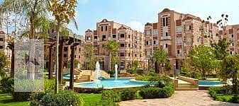 37 IMG-20250218-WA0135. jpg