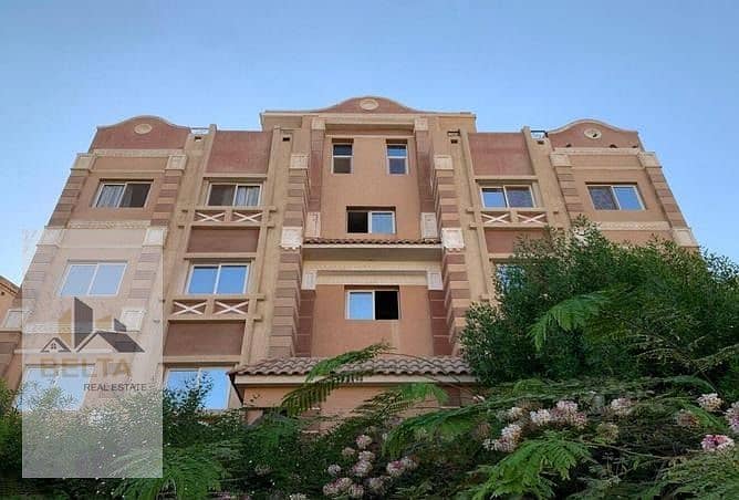 41 IMG-20250218-WA0139. jpg