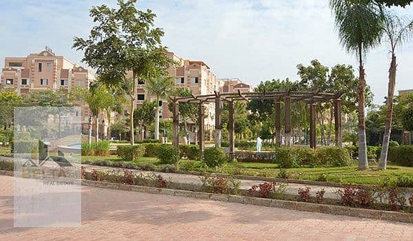 45 IMG-20250218-WA0152. jpg