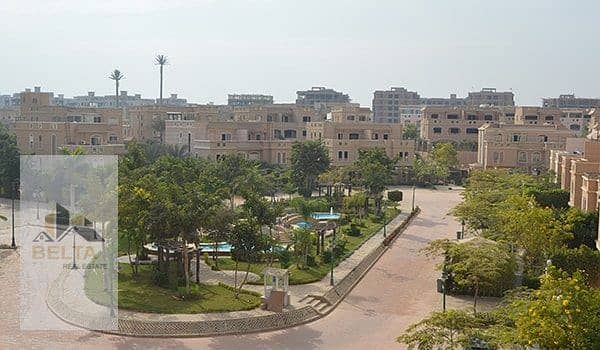 52 IMG-20250218-WA0159. jpg