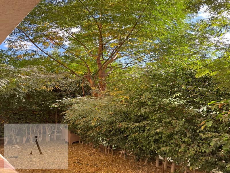 12 WhatsApp Image 2025-12-03 at 1.47. 02 PM. jpeg