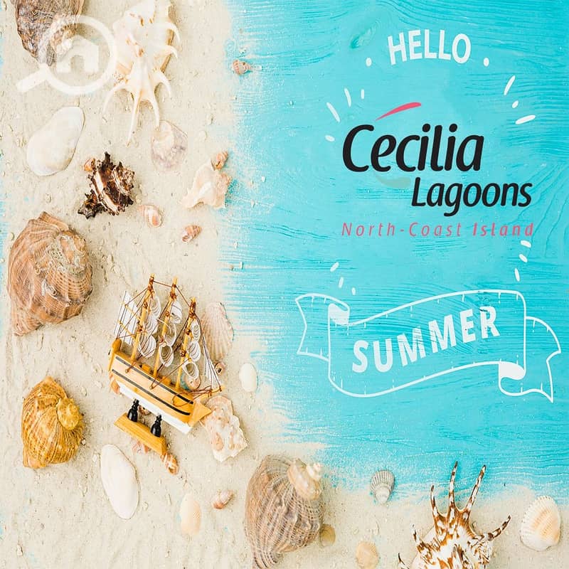 17 WhatsApp Image 2025-12-09 at 3.01. 04 PM. jpeg