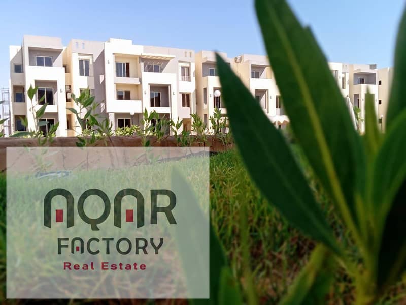 5 WhatsApp Image 2025-12-01 at 4.29. 10 PM. jpeg