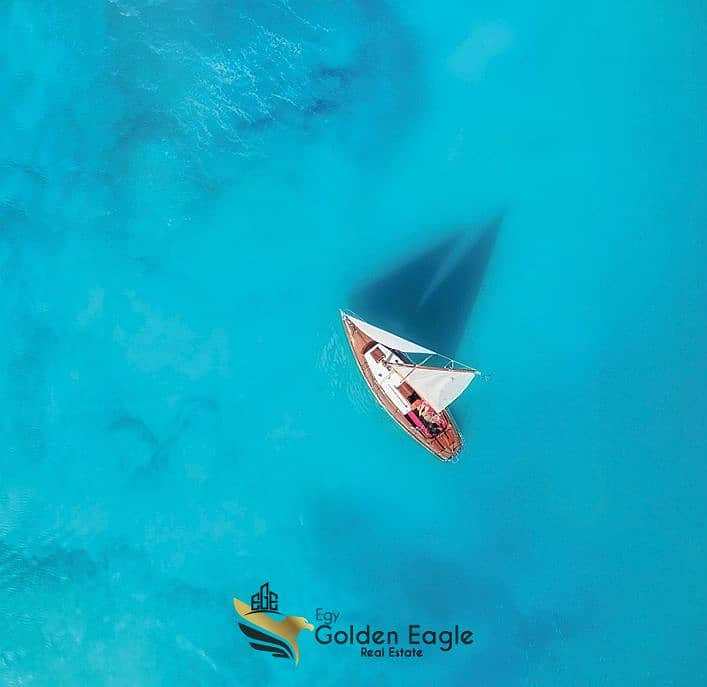 4 Screenshot_6-10-2025_15197_. jpeg