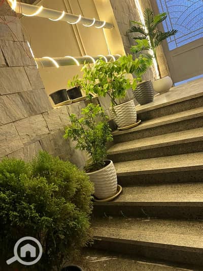 3 Bedroom Apartment for Rent in New Cairo, Cairo - WhatsApp Image 2025-09-22 at 07.14. 18_e194c964. jpg