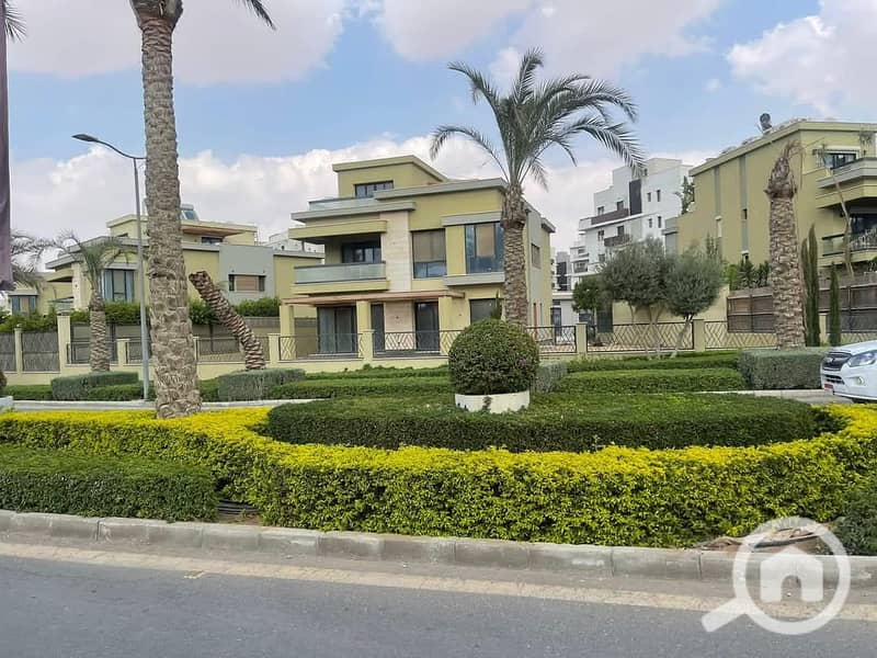 19 FB_IMG_1741809701086. jpg