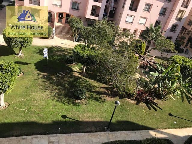 5 5d1b3110-16df-4691-b555-4ea8e6f97419. jpg