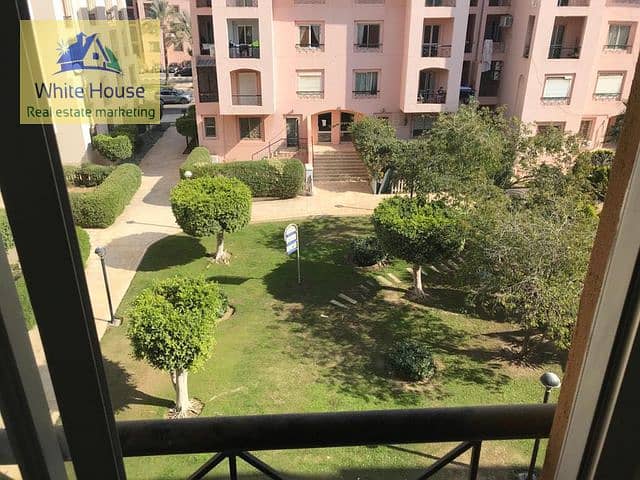 6 86cb1bca-497d-4a3a-9167-d818ce209c9c. jpg