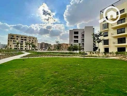 11 WhatsApp Image 2025-12-11 at 4.09. 18 PM (1). jpeg