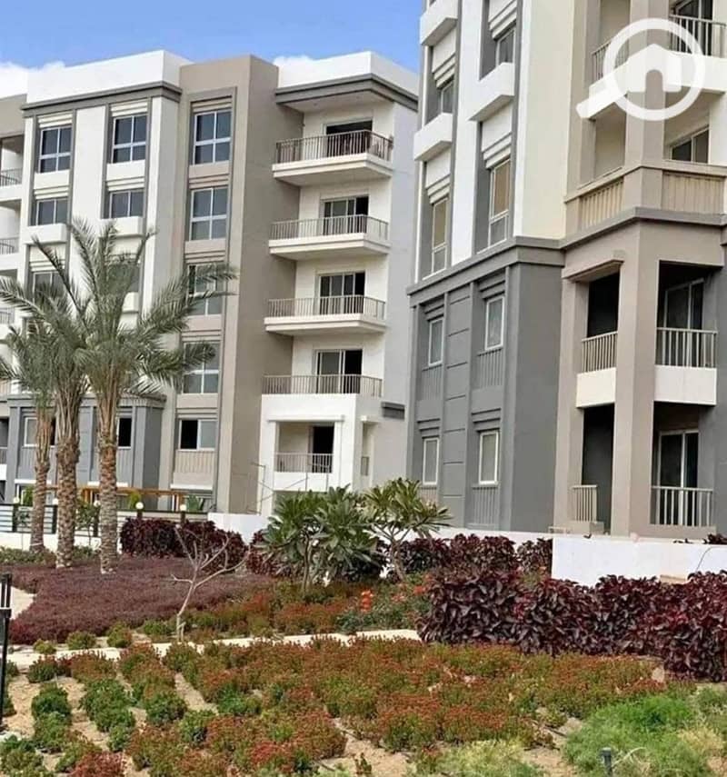 WhatsApp Image 2025-11-17 at 3.46. 42 AM. jpeg