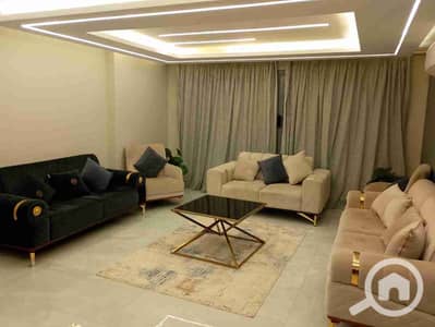 3 Bedroom Hotel Apartment for Rent in Dokki, Giza - 1000079058. jpg