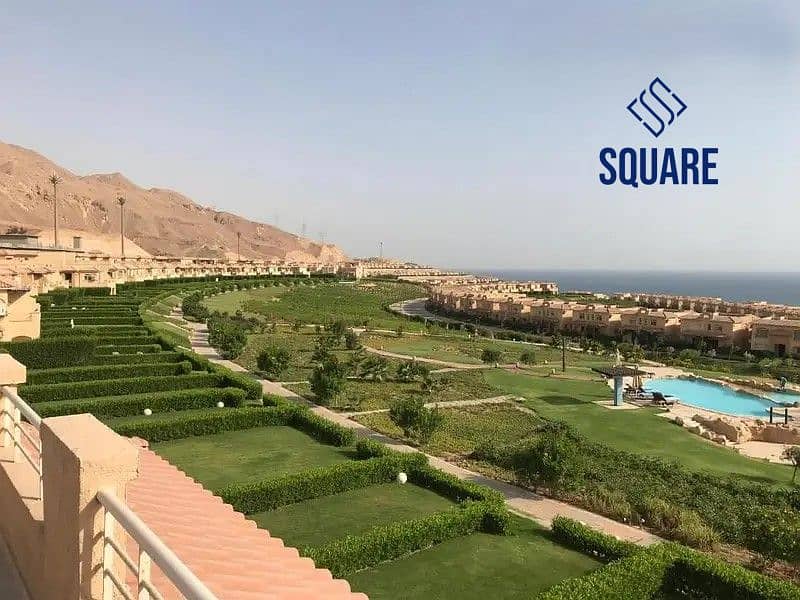 5 33158450-800x600. jpg