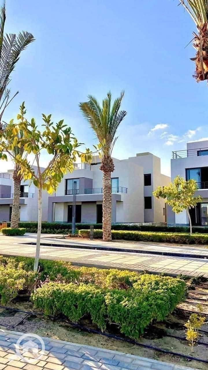 4 photo_2025-01-20_20-57-24. jpg