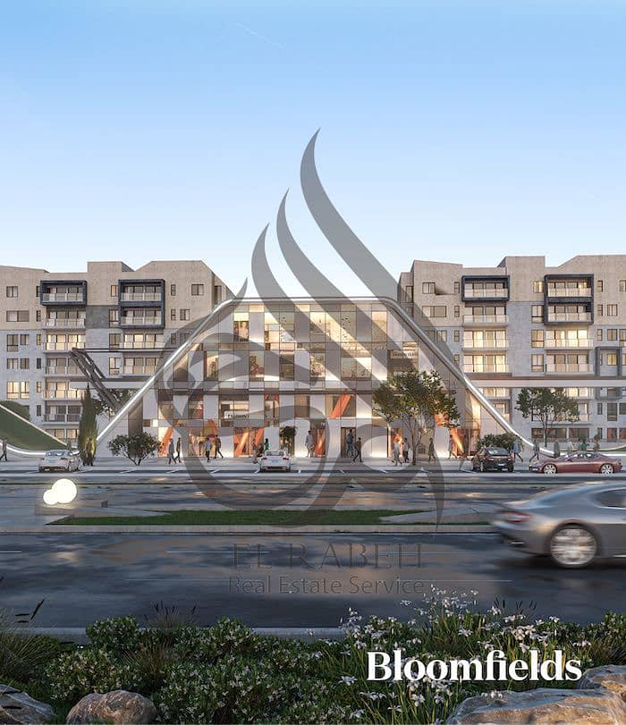 3 IMG-20241210-WA0378. jpg