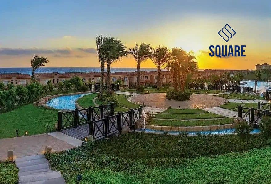 33158445-800x600. jpg