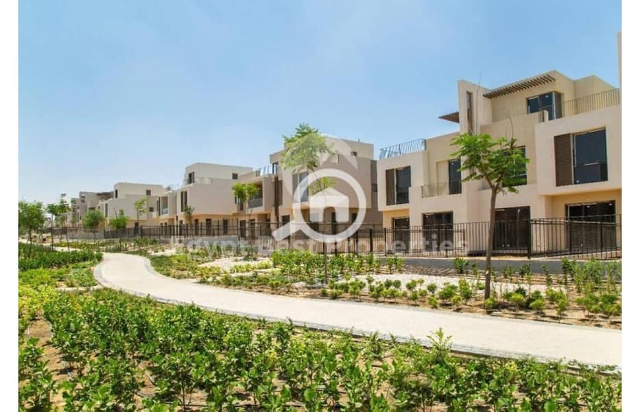 6 8077344-bcf9do. jpg