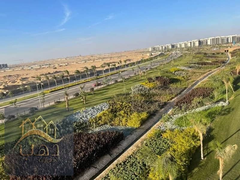 4 cb66cbad-f03d-4a33-90c6-68ffe187118e. jpg