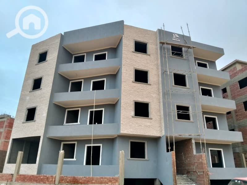 3 98ff1372-6979-4ebc-ba01-889c8d9003c0. jpg