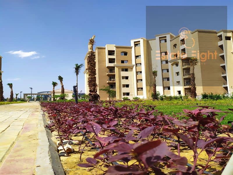 5 0103cd85-4396-407d-9ffd-d96312d4fde8. png